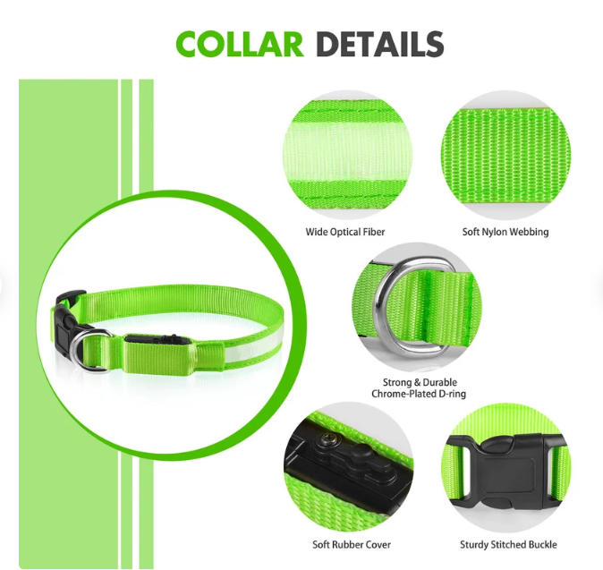 Rechargeable LED Dog Collar