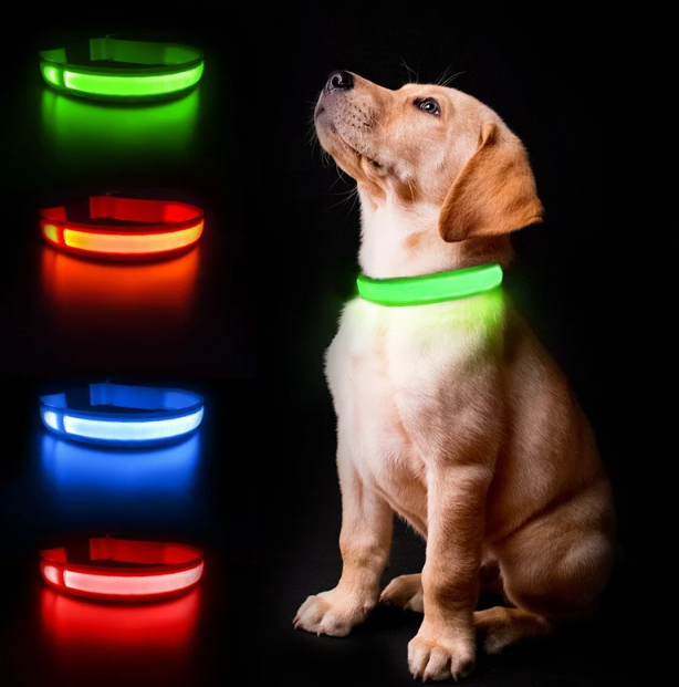 Rechargeable LED Dog Collar