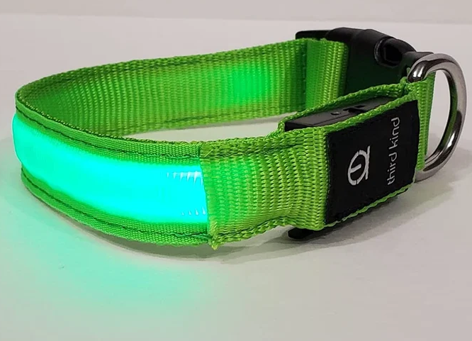 Rechargeable LED Dog Collar